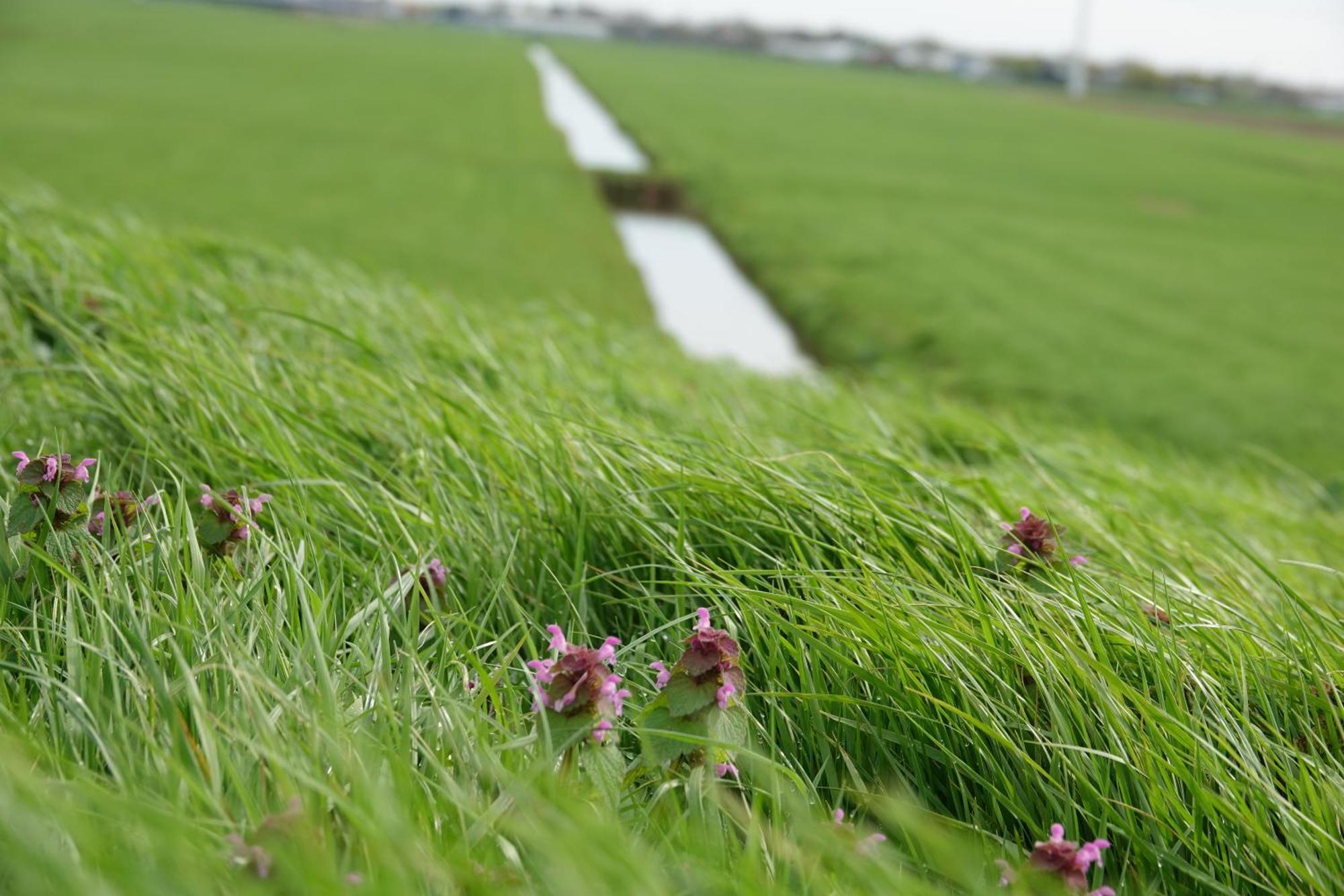 Vakantie Huis Aan Het Water Rijpwetering Exteriér fotografie